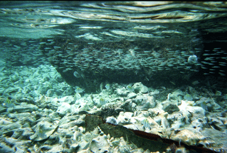 Blue Lagoon Island