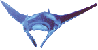 Manta Ray