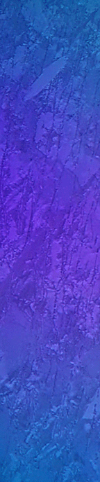 purpleice1