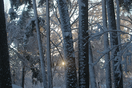 snow sunset panarama