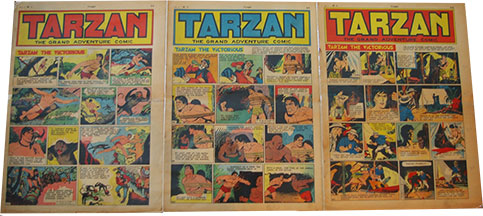 Tarzan Grand Adventure