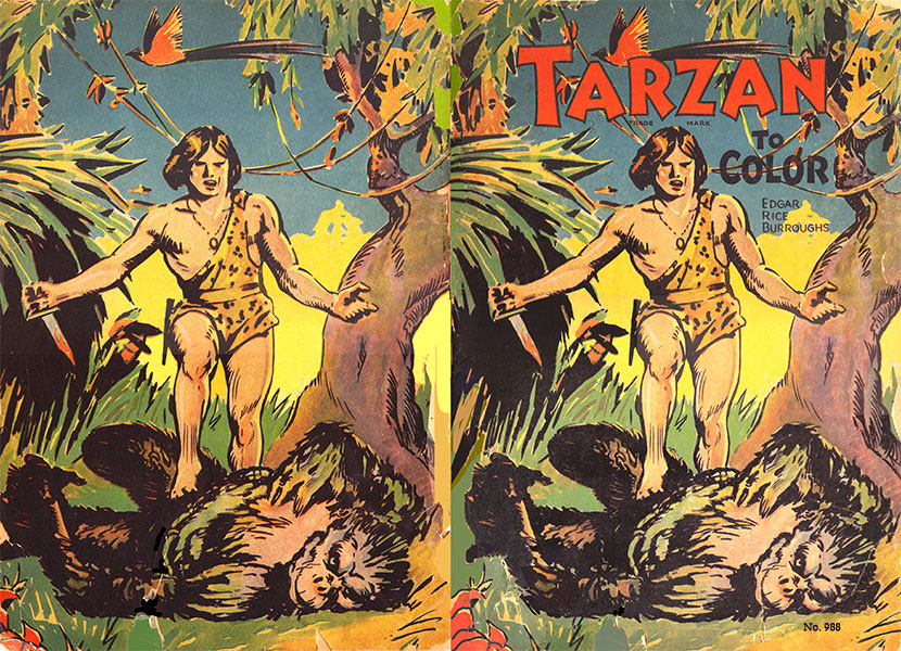 Tarzan to Color