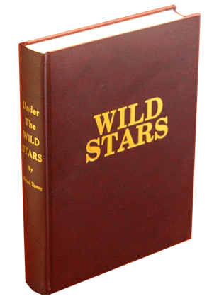 Under The Wild Stars novel