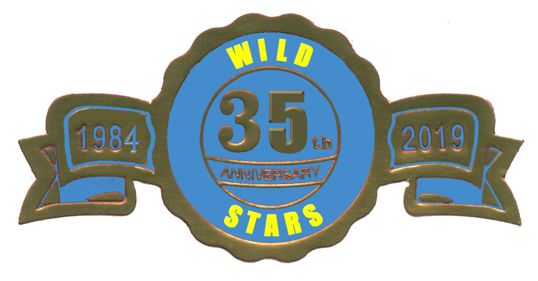 Wild Stars Anniversary Logo
